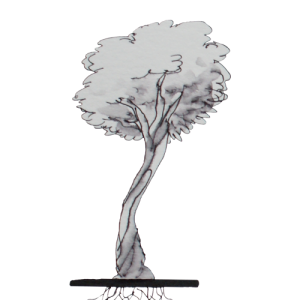arbol web